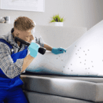 bed bug control GTA