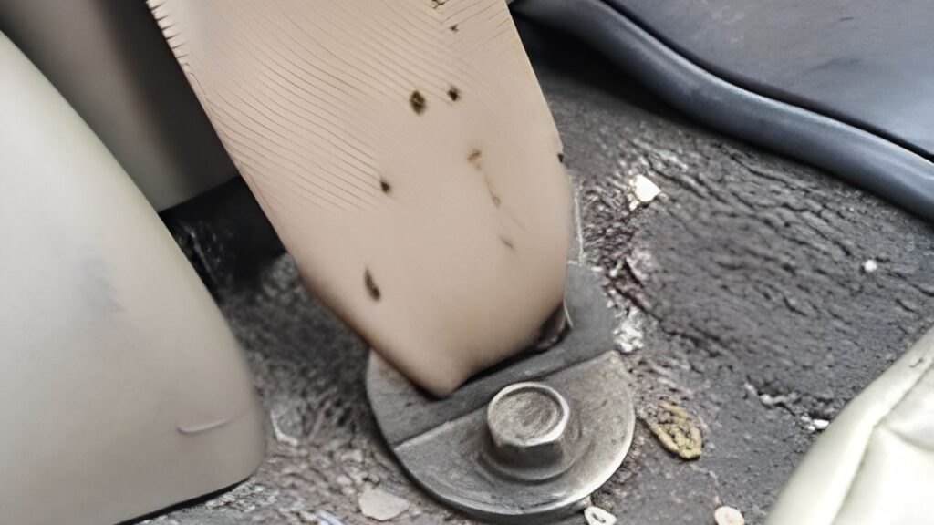 Dark bed bug fecal spots and shed skins on a car seat belt near the floor anchor bolt