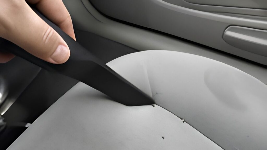 Vacuum crevice tool cleaning along a car seat seam to remove bed bugs and eggs