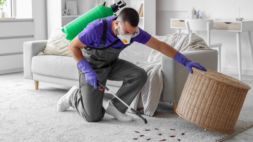 disinfecting carpet for cockroaches