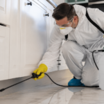 Professional pest control exterminator applying treatment along kitchen cabinet baseboards.