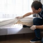 how do bed bugs get into your home