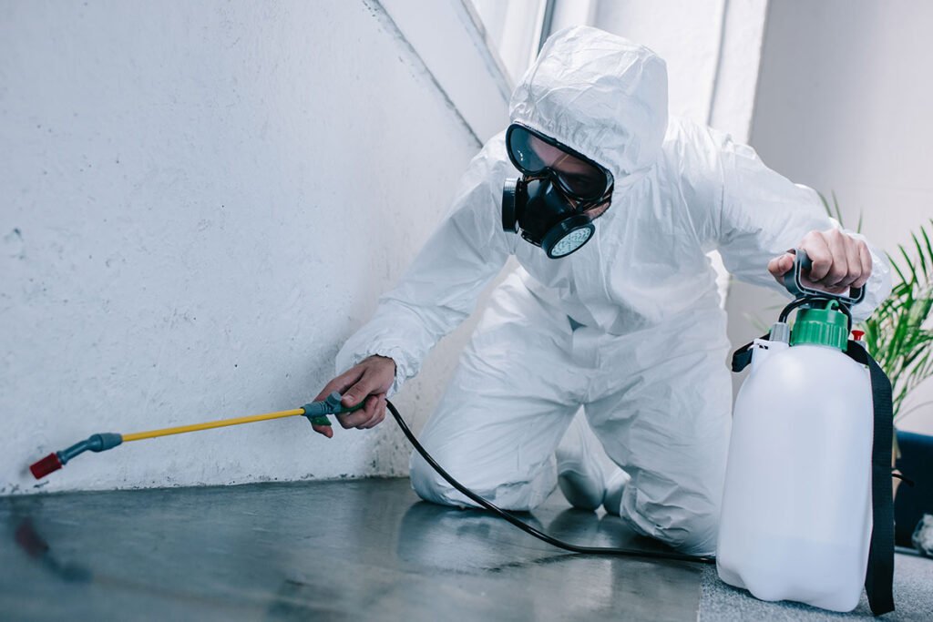 Professional pest control services in Ajax