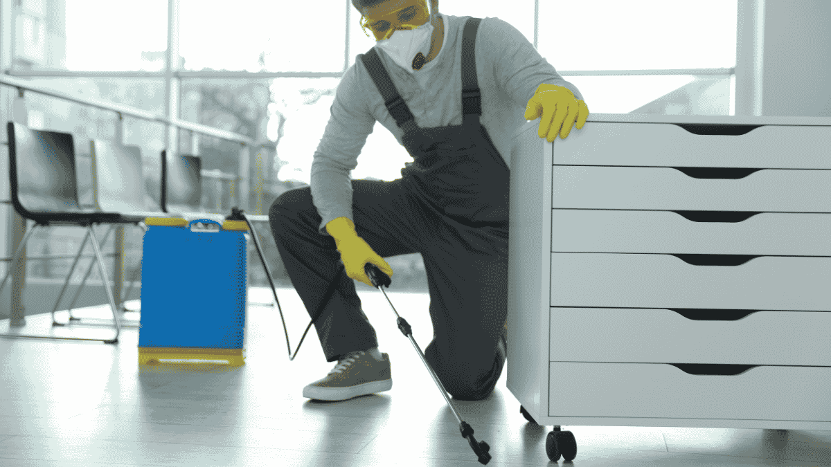 office pest control