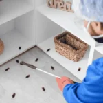 pest control for restaurants