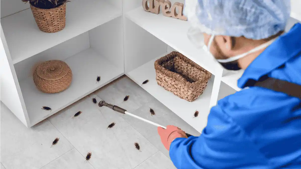 pest control for restaurants