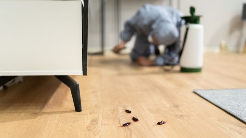 pests come inside in winter