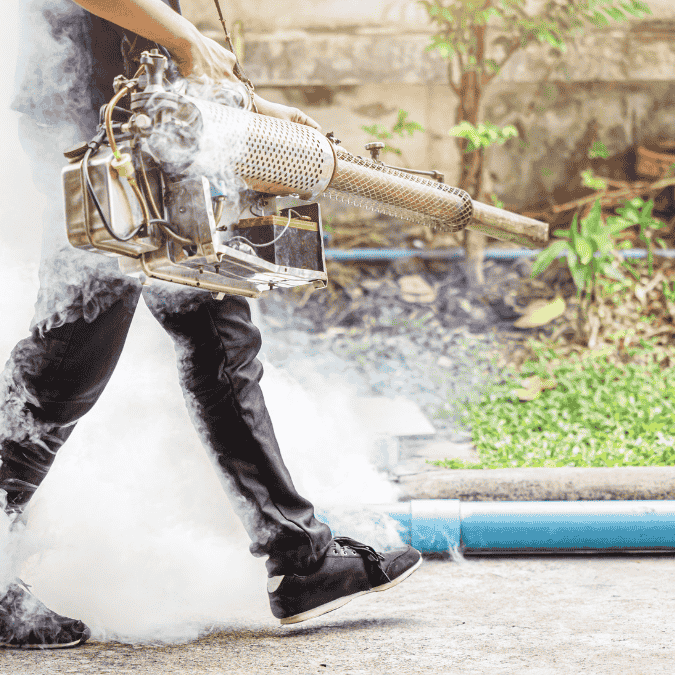 Professional inspection for mosquito control