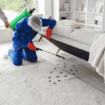 seasonal pest control GTA