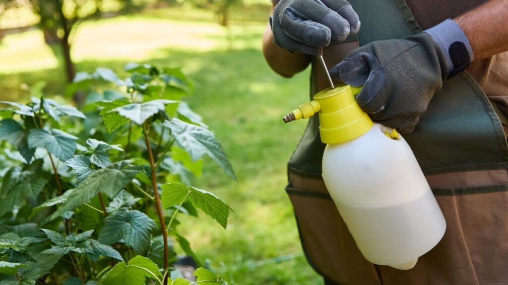 spray bottle for pest control